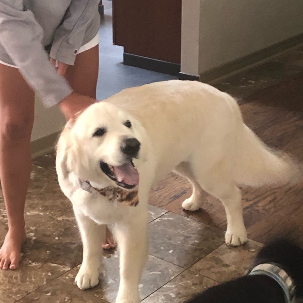 Meet your Posher, Janet